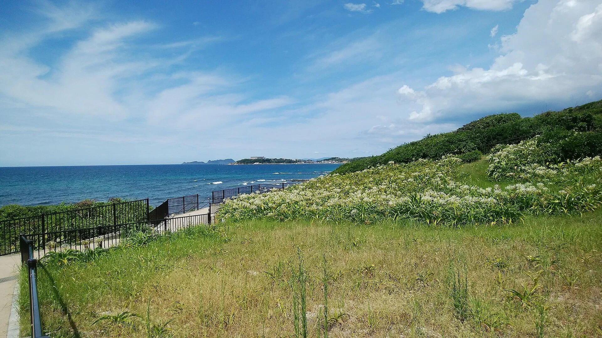 夏井ヶ浜海岸與白色濱木棉花自生地的海邊步道