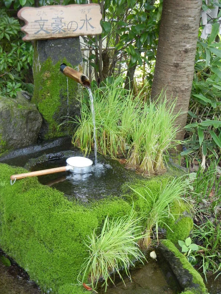 阿蘇水基與綠蔭小路資料照，代表南阿蘇水源段