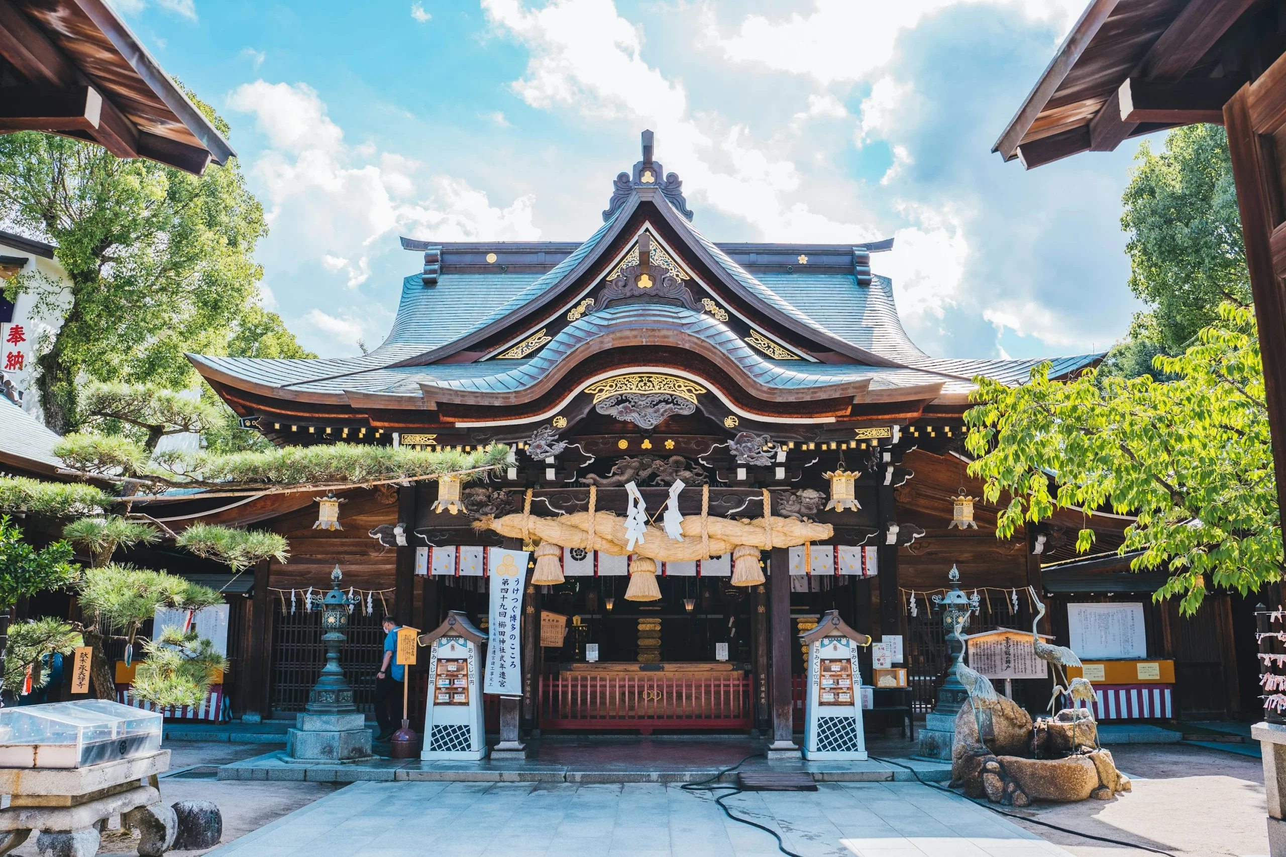 櫛田神社本殿與春日櫻花