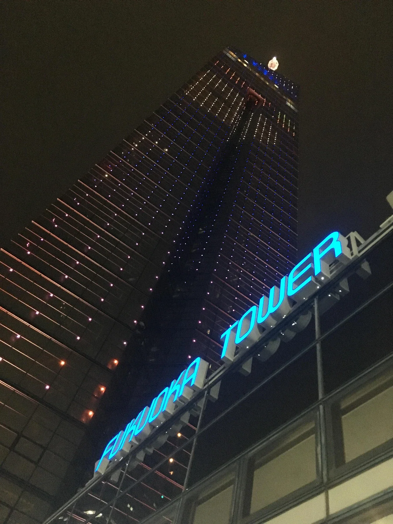 夜間點燈的福岡塔
