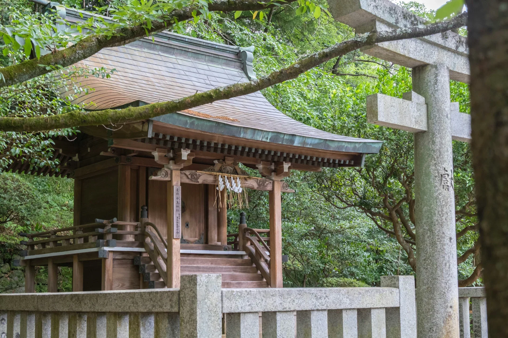 樹林環繞的太宰府天滿宮木造神社與石欄
