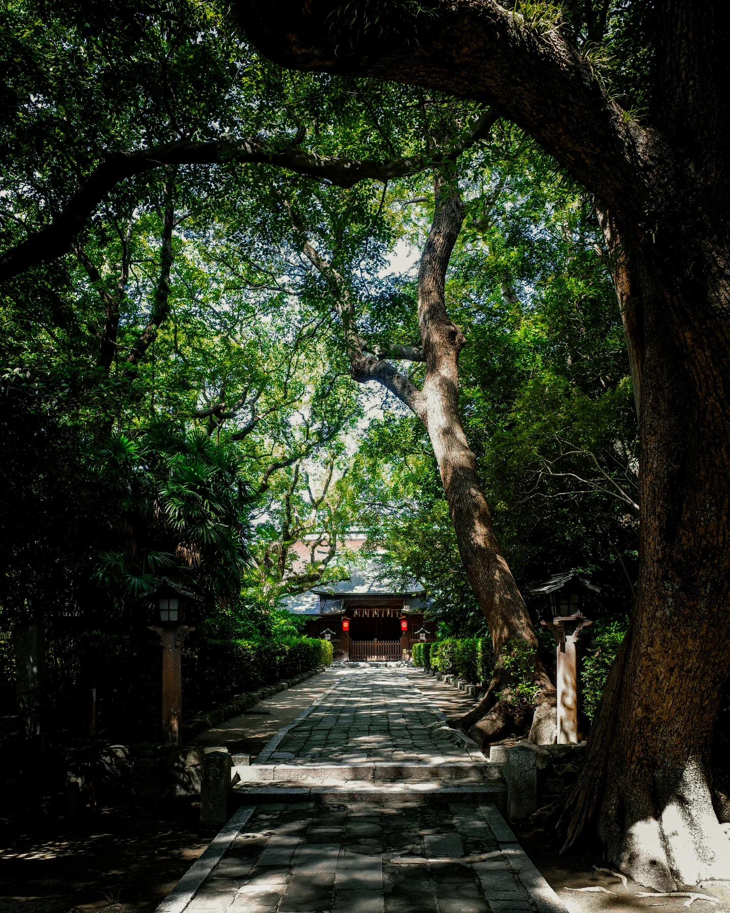 筥崎宮境內參道實景（1）