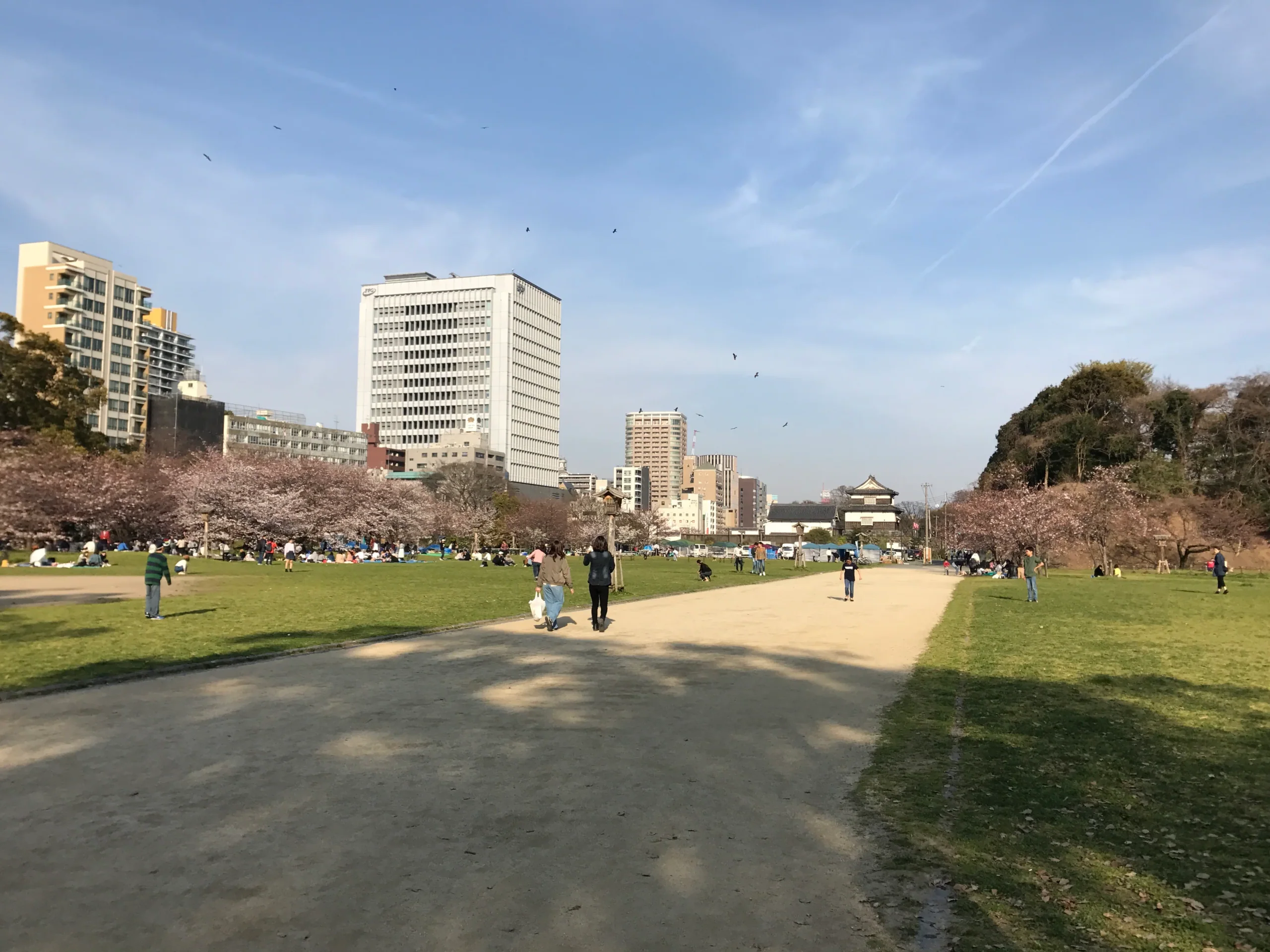 舞鶴公園草地、櫻花和福岡城跡建築
