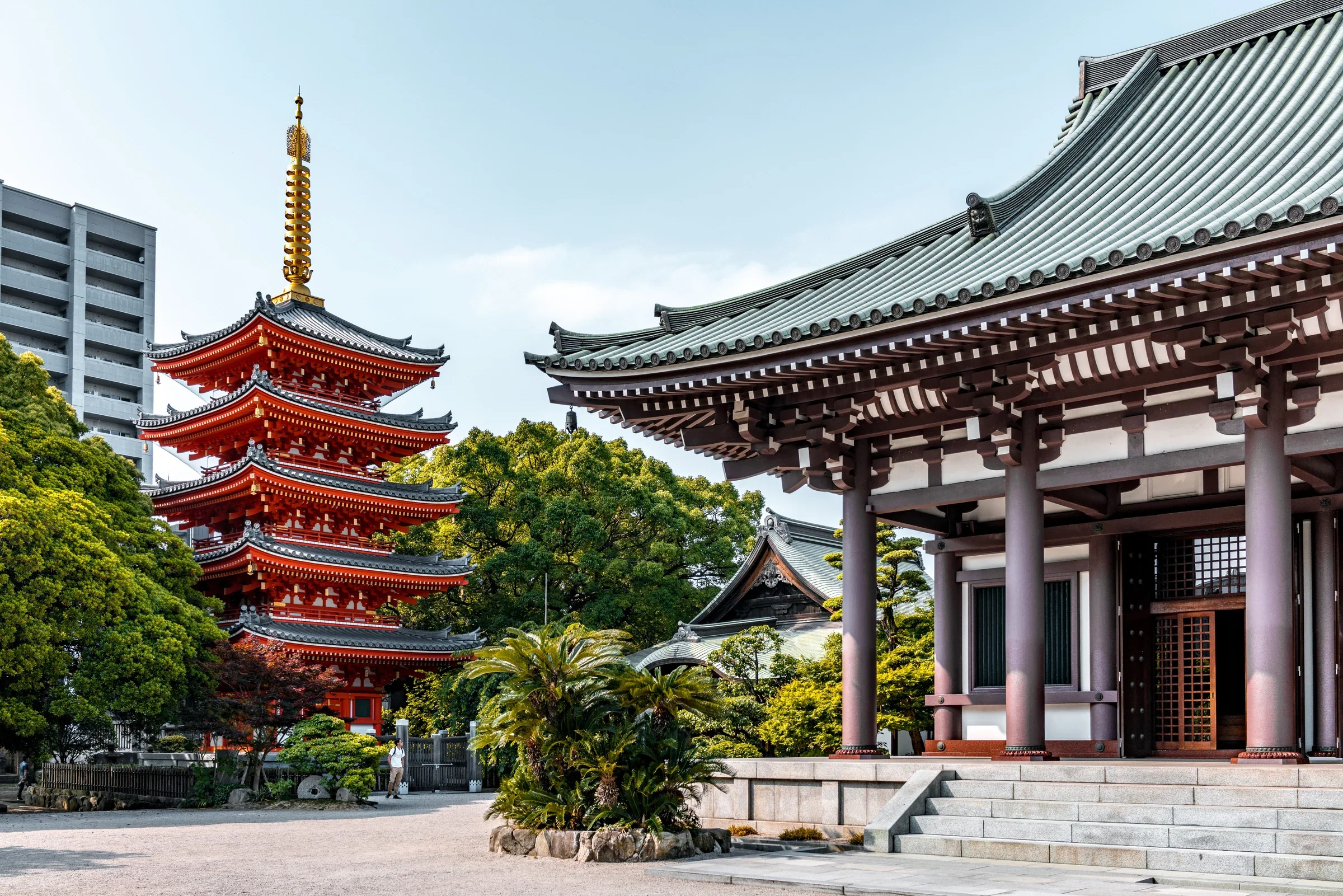 東長寺境內紅色五重塔與本堂外觀