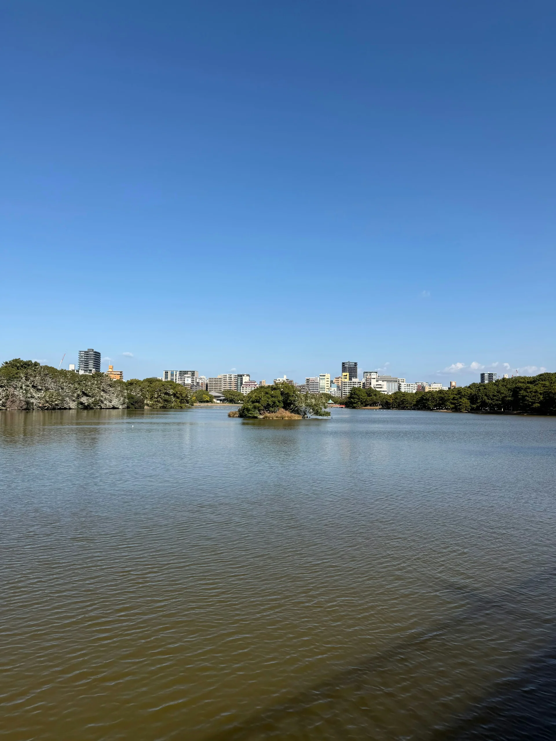 大濠公園湖面與環湖景色