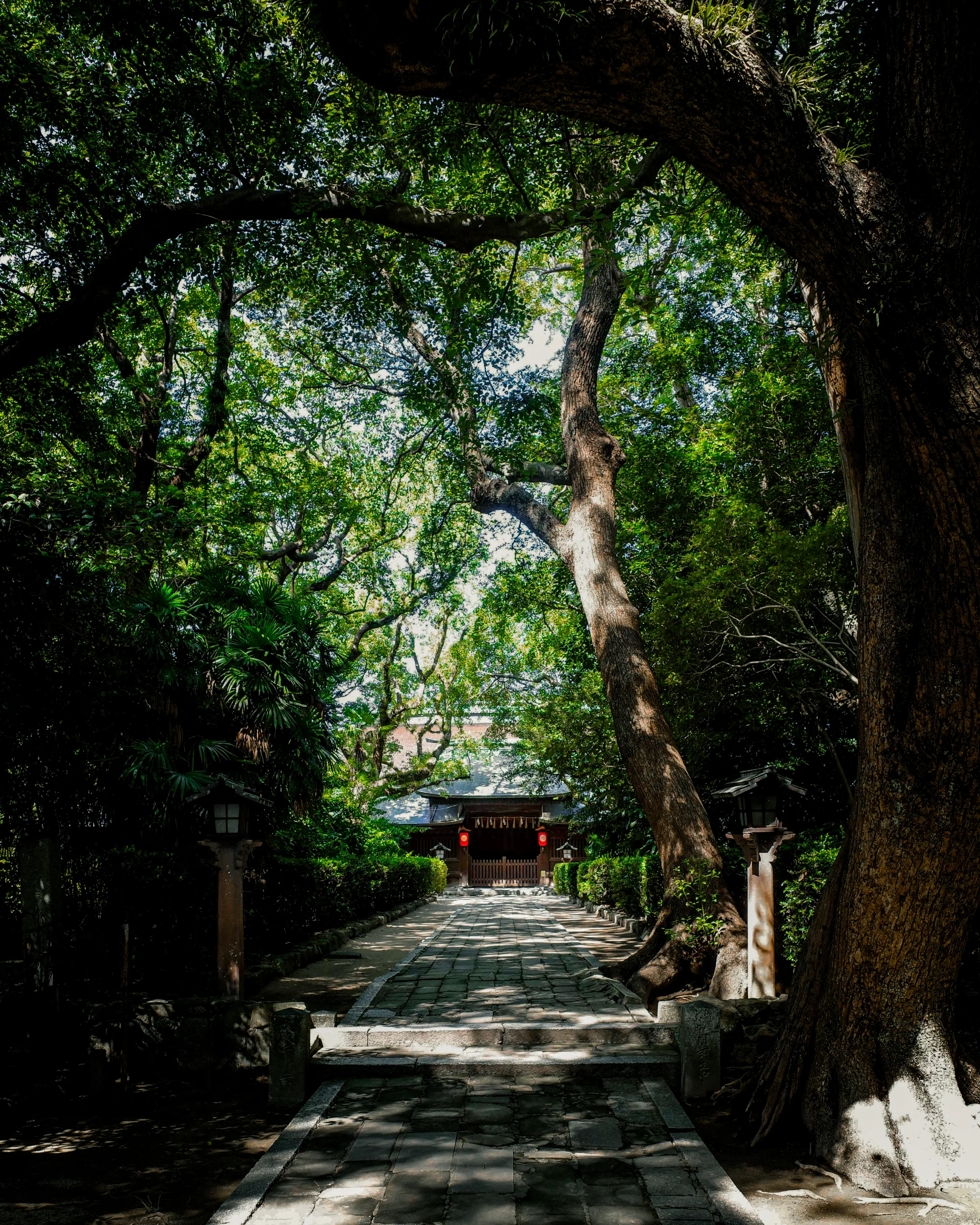 筥崎宮境內通往樓門的石板參道，兩側大樹遮蔭