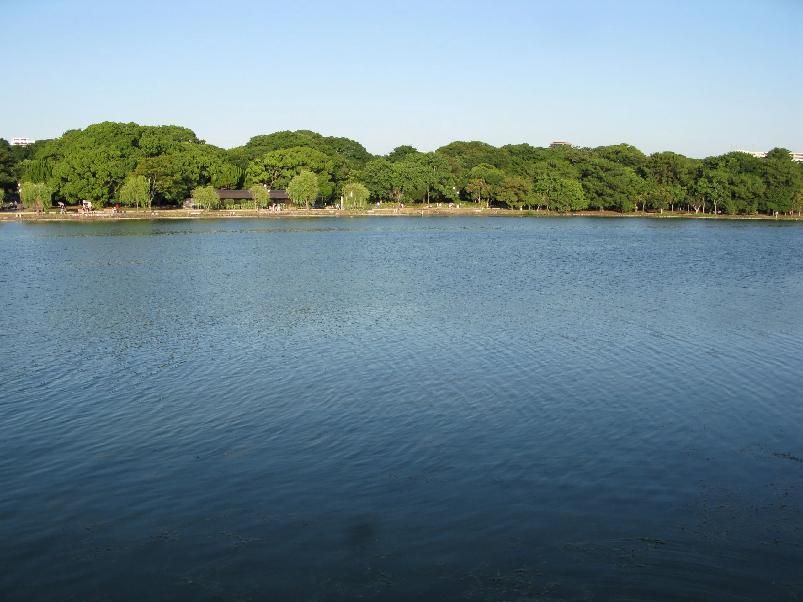 大濠公園湖面、湖中小島與沿岸步道