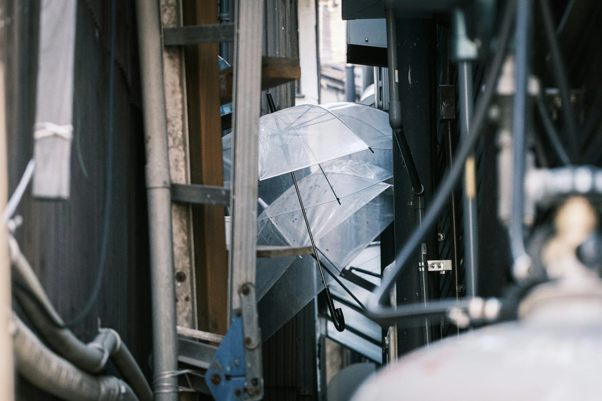 雨傘下的行人走過有招牌的城市街道