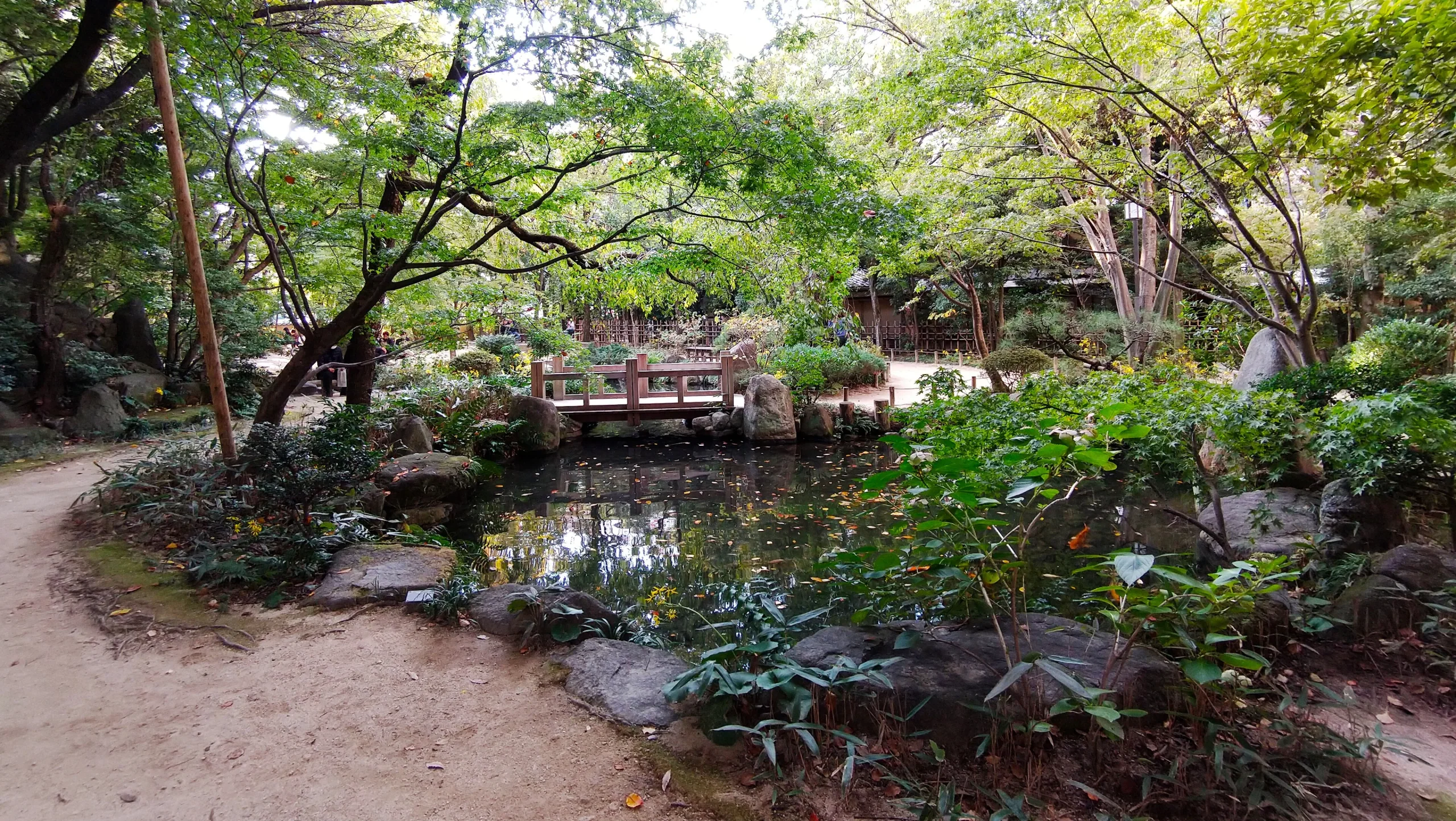 福岡樂水園池泉、石橋與庭園步道