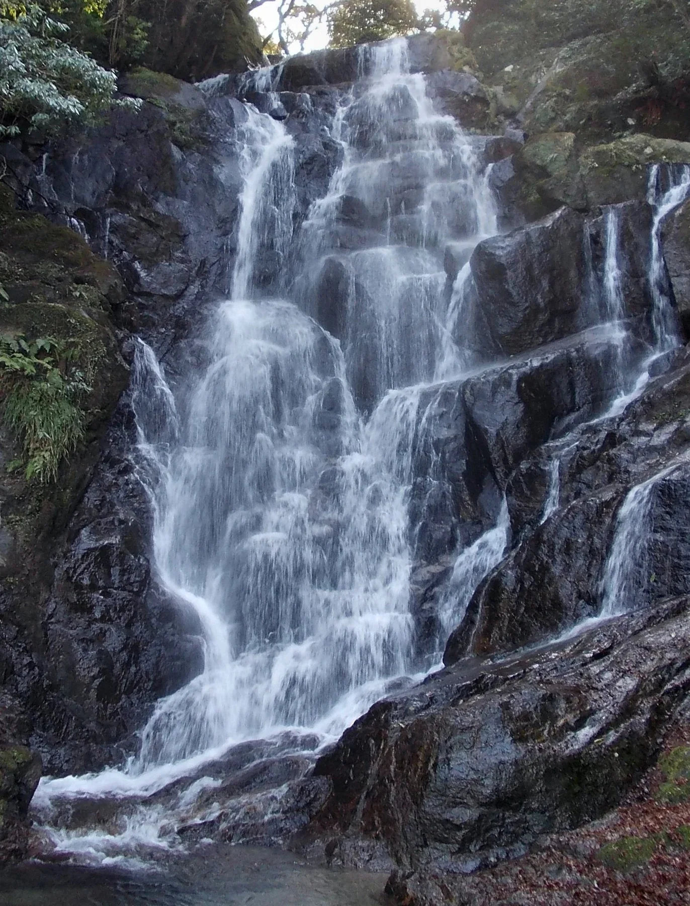 白糸瀑布水流沿岩壁落入溪流