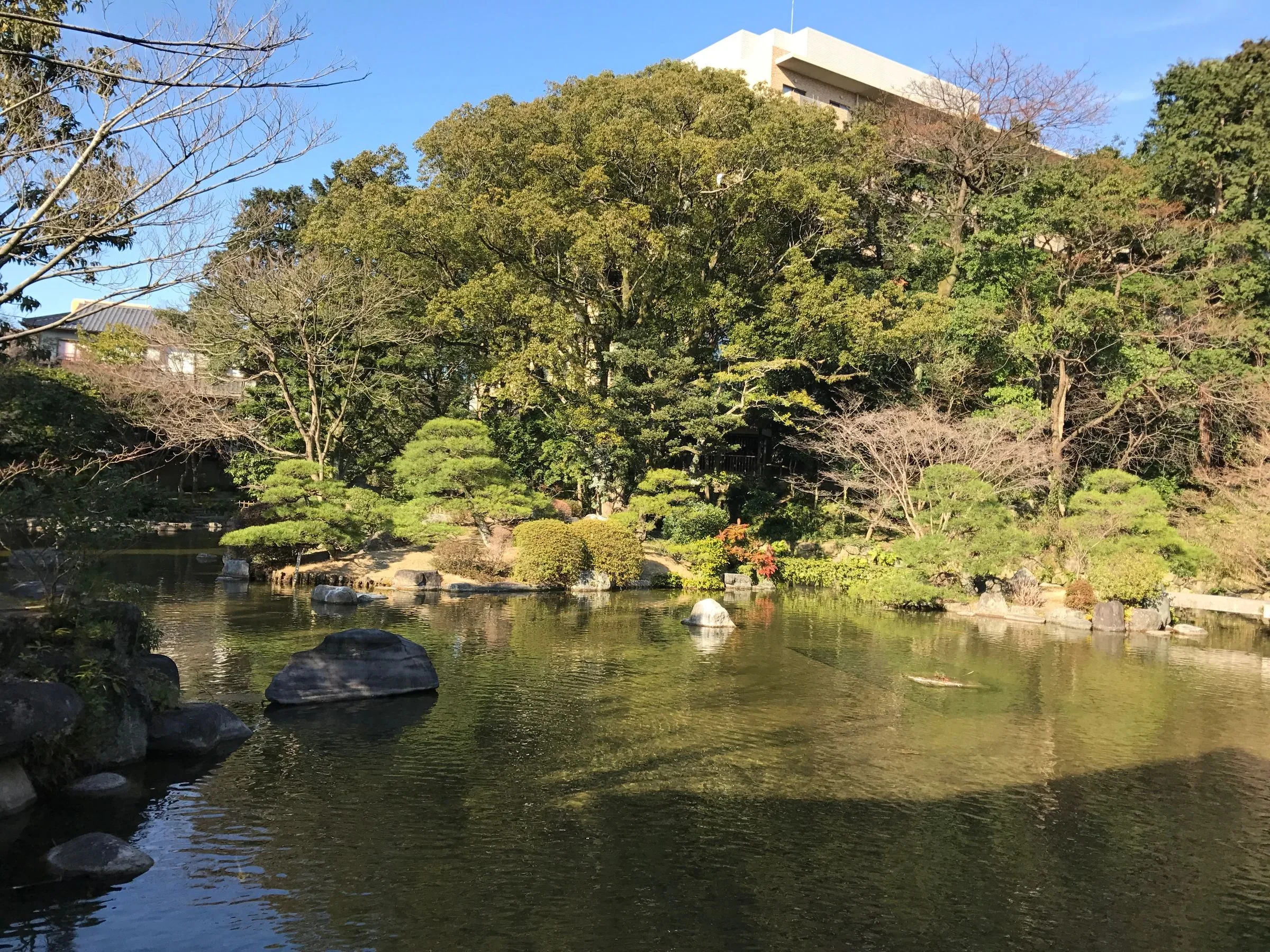 友泉亭公園大廣間望向池泉庭園