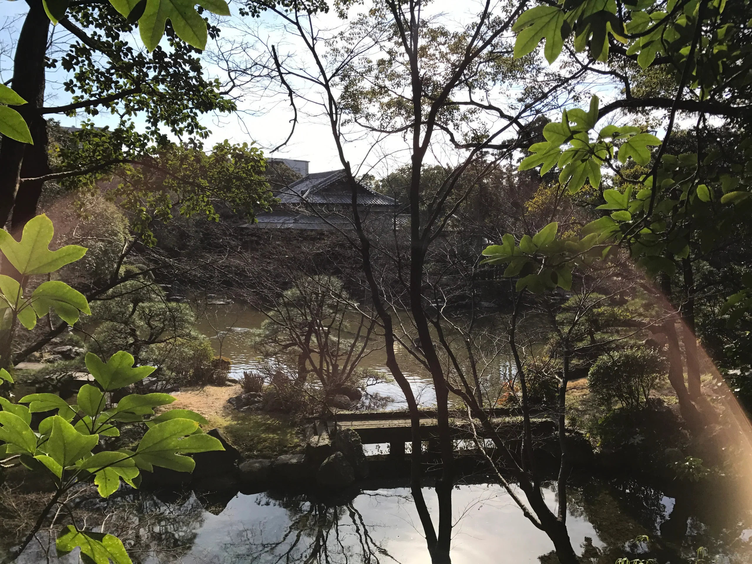 福岡友泉亭公園池泉、石橋和庭園樹木