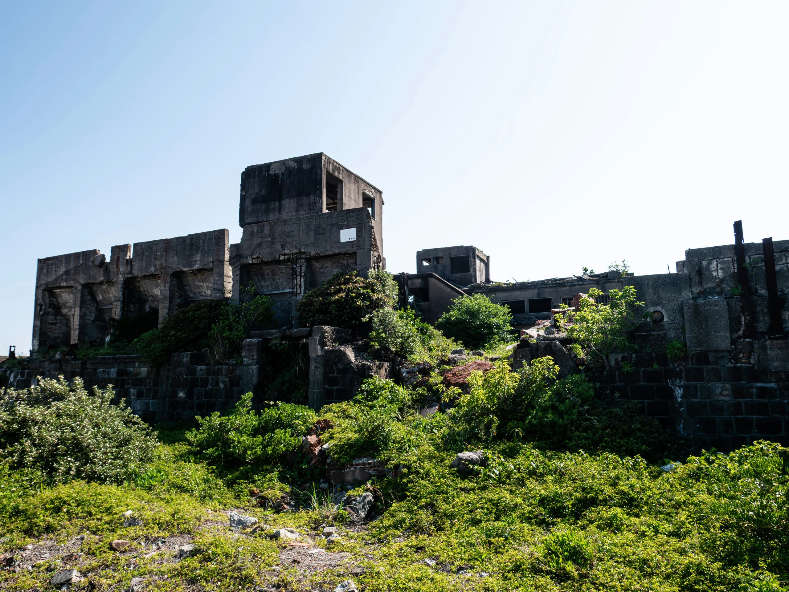 端島殘存建築與外牆周邊的植被