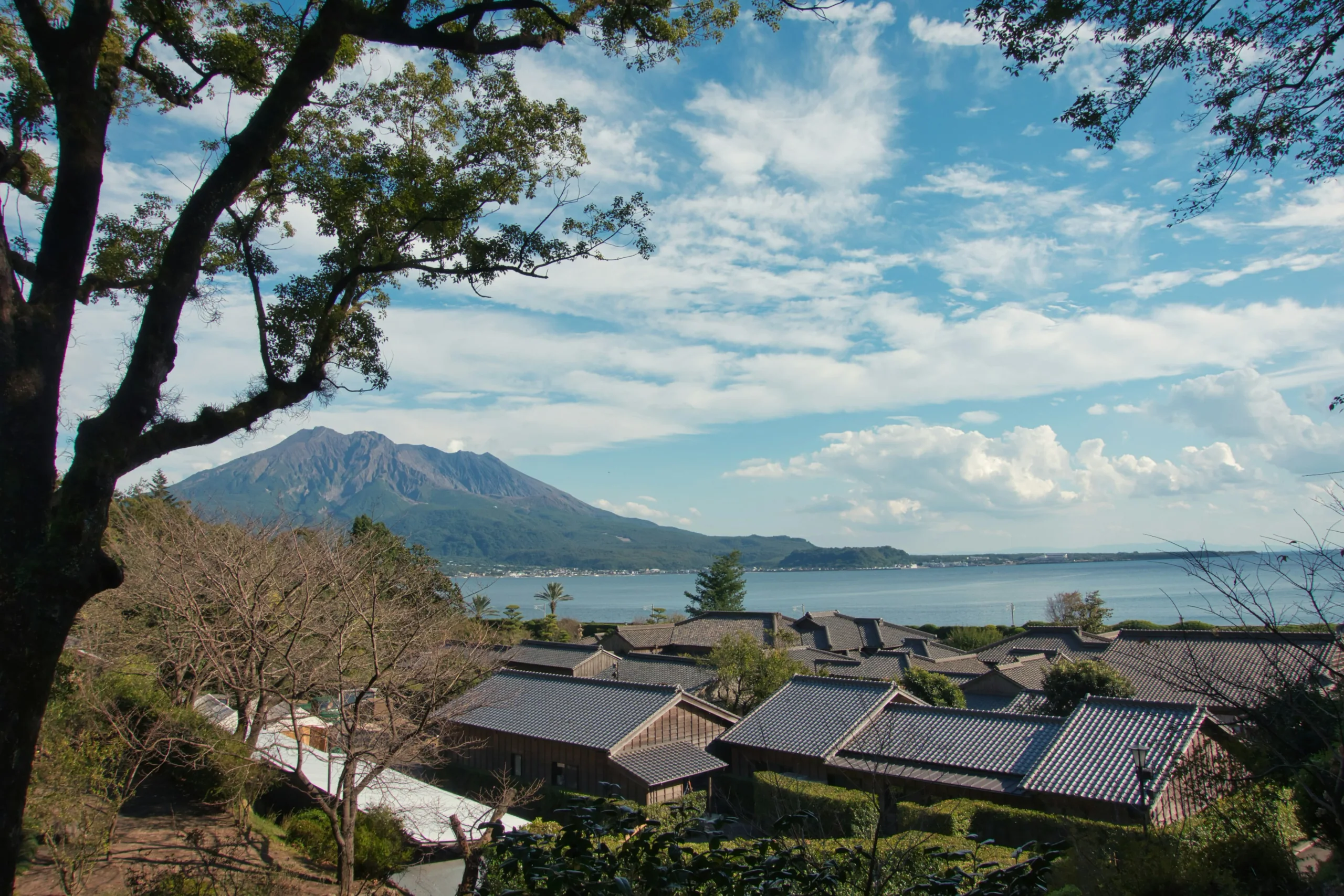 仙巖園屋瓦前方的庭園樹木、錦江灣與櫻島