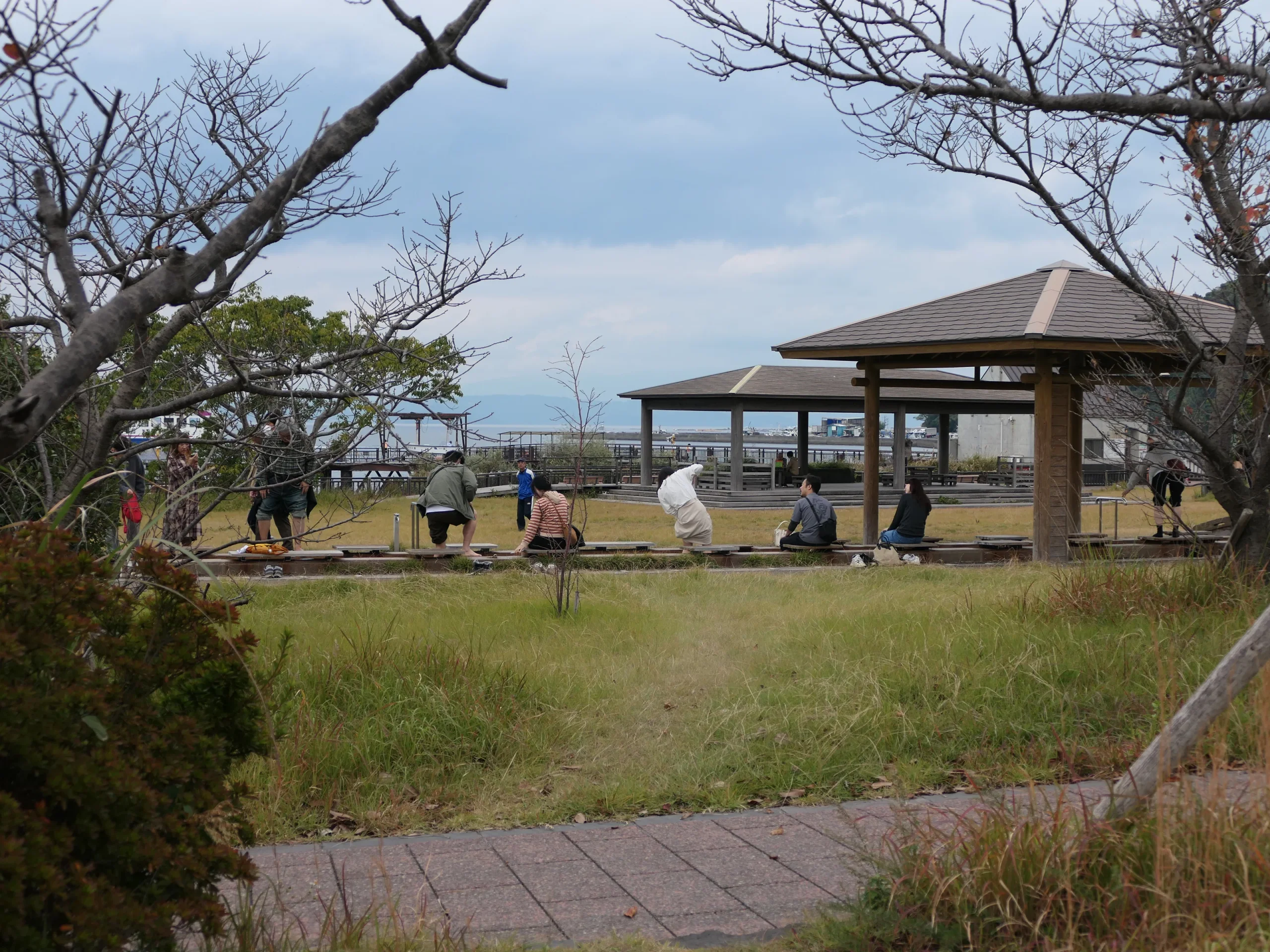 櫻島渡輪 2026：已非24小時，票價、首末班、開車上船與Island View怎麼接
