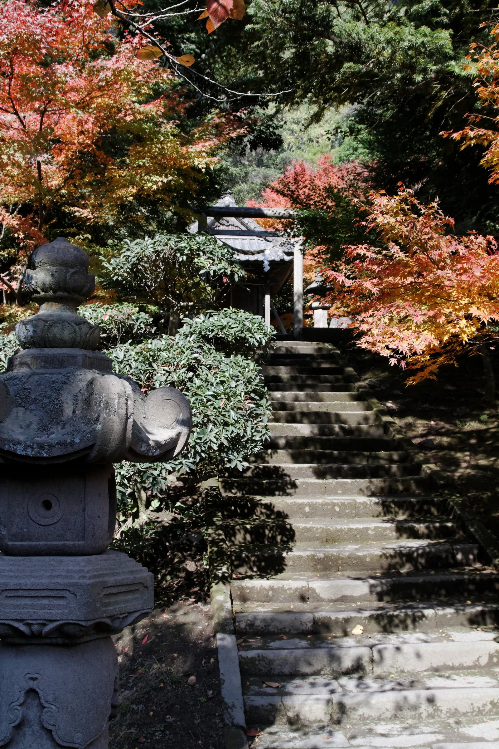 仙巖園庭園內的石階、石燈籠與紅葉