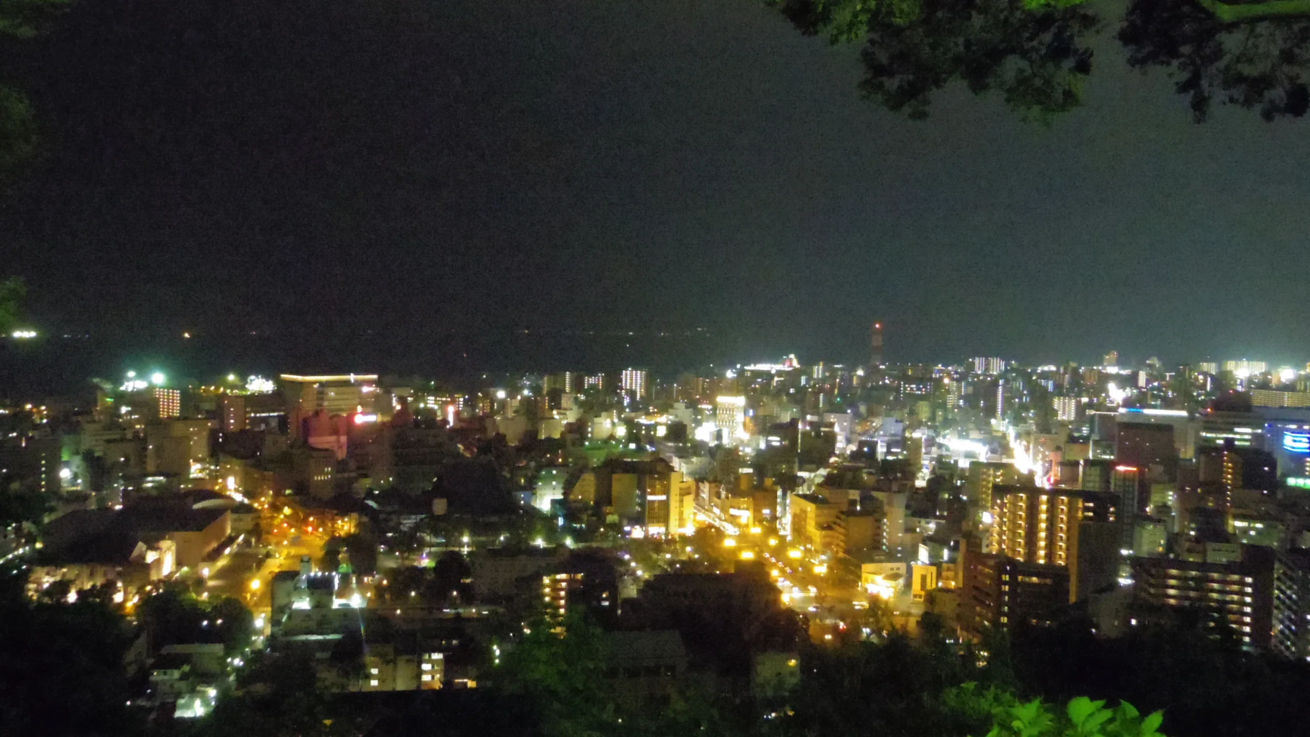 從城山公園眺望鹿兒島市夜景，山影在燈火後方