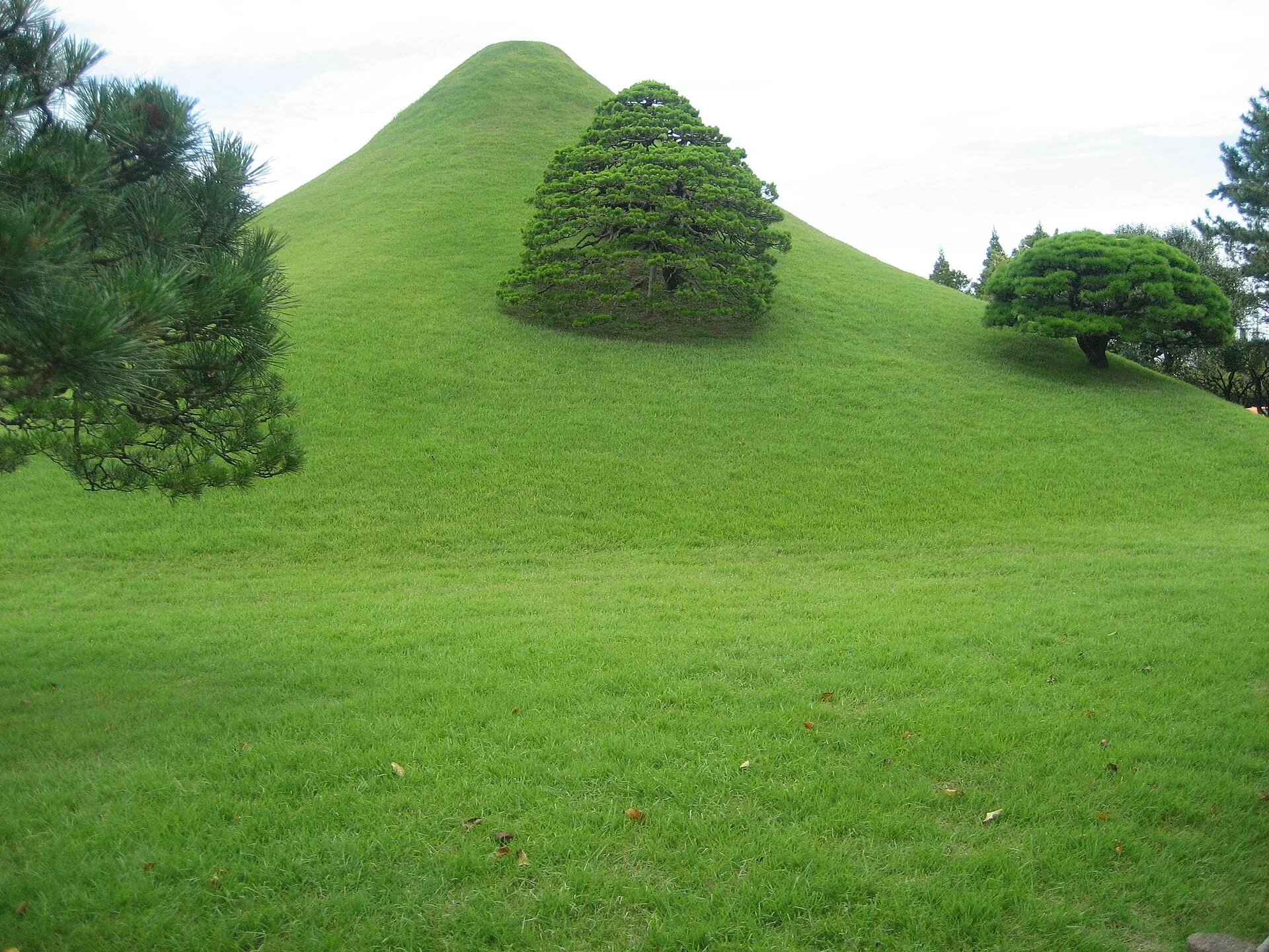 水前寺成趣園的草坡、松樹與回遊式庭園景觀