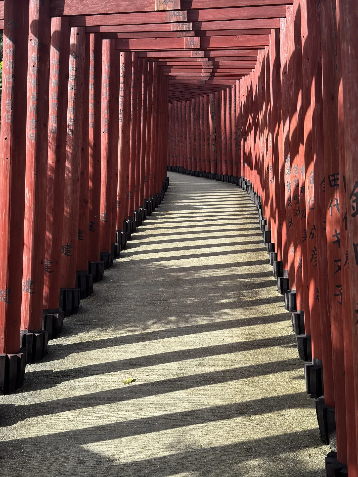 祐德稻荷神社境內的紅色鳥居迴廊，陽光落在無人的參道上