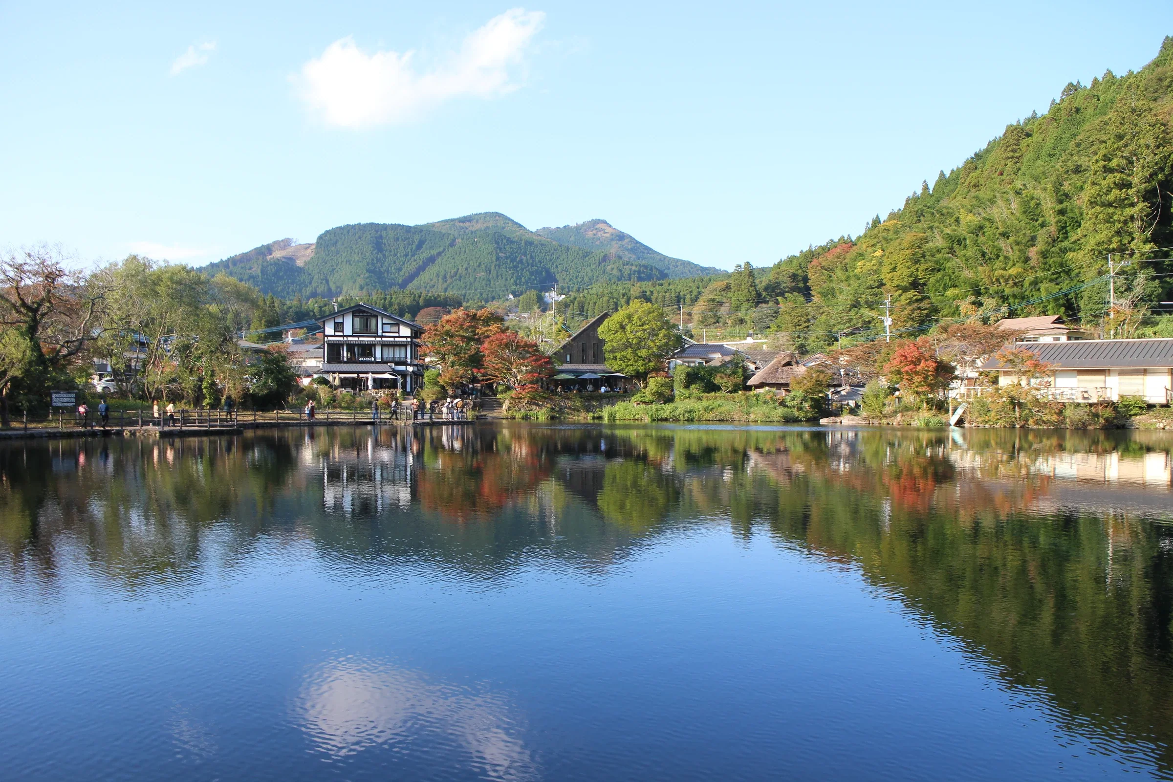 金鱗湖湖面映出湖岸樹木，部分樹葉已轉為橙紅色