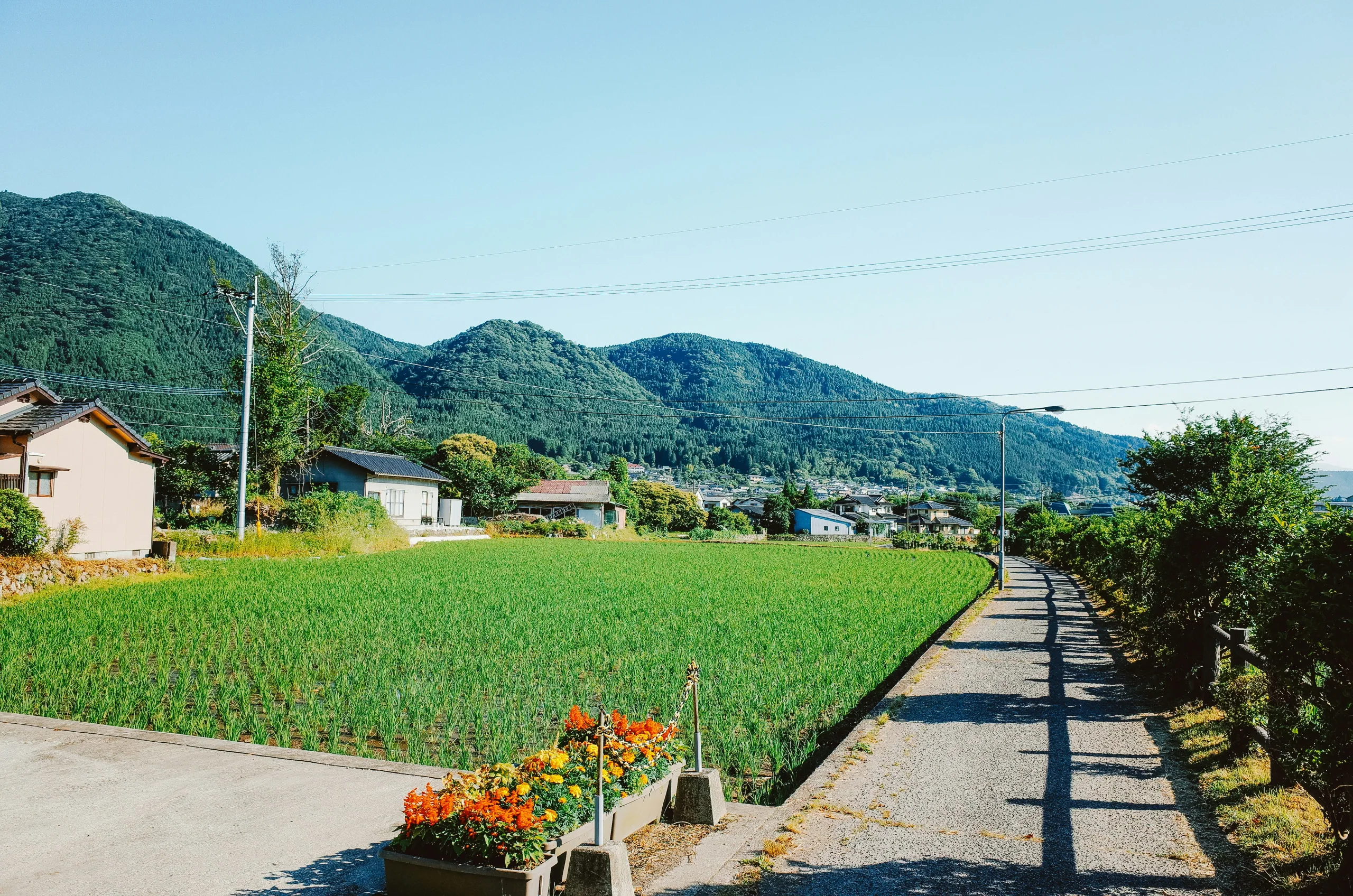由布院田園聚落、稻田小路和山景