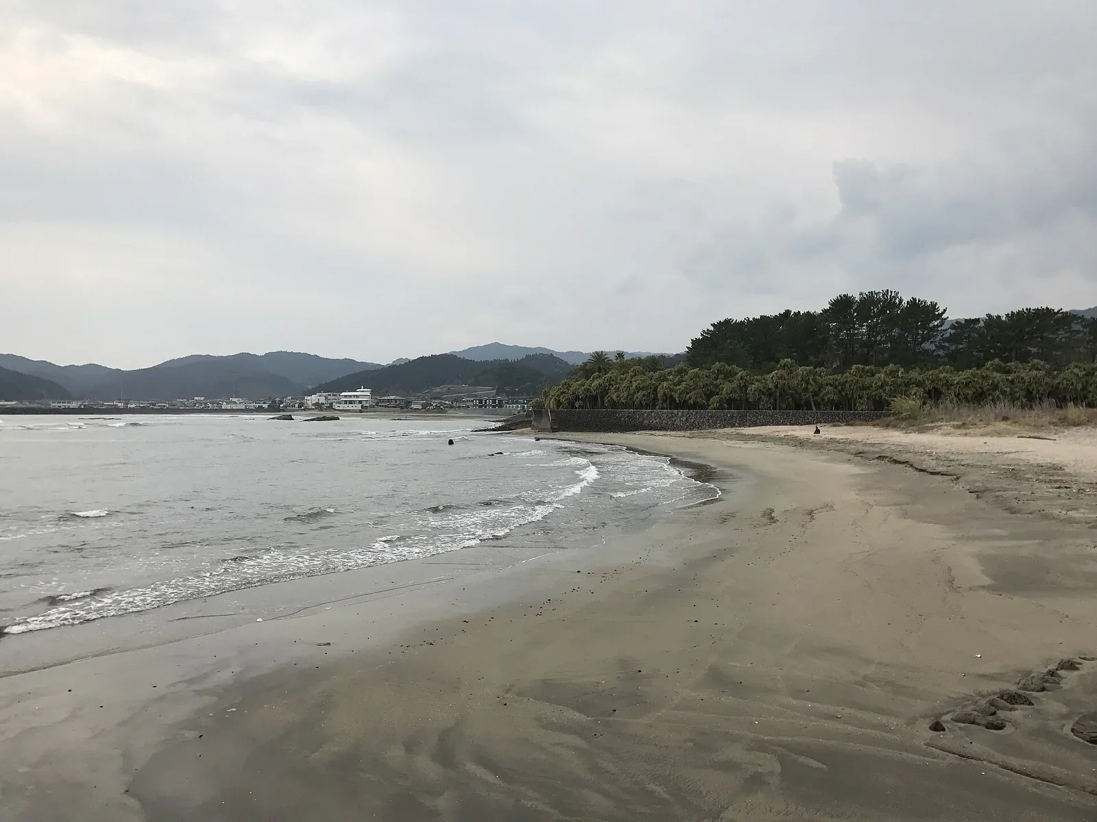 由彌生橋望向青島亞熱帶植物園，抵達青島後可按步行時間安排