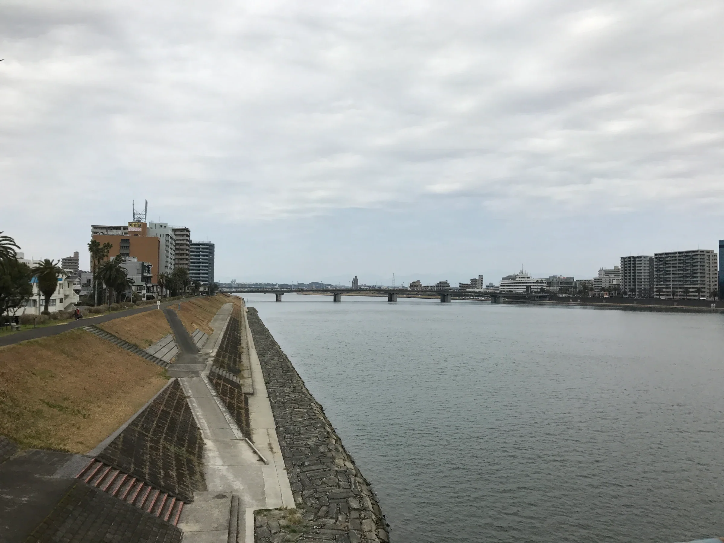 從大淀大橋望向大淀川與橘橋