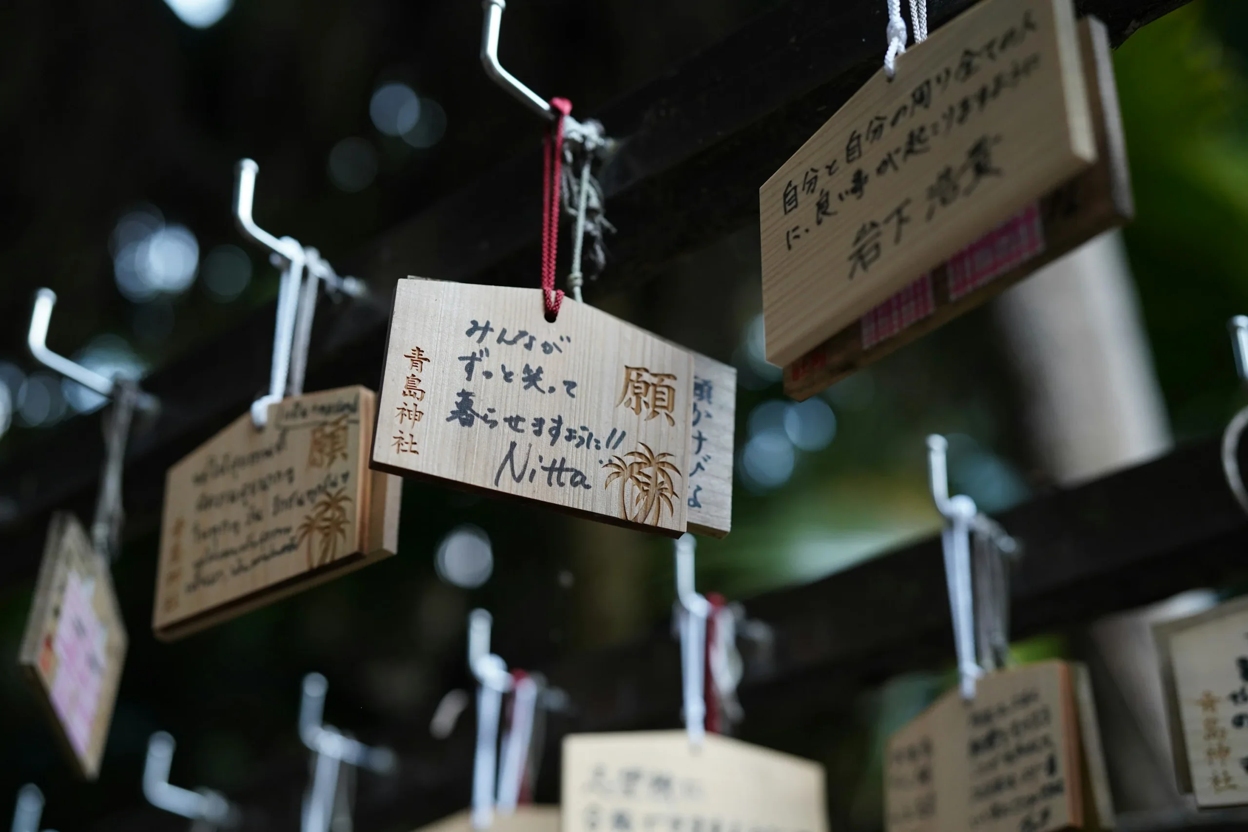 青島神社木架上掛著的繪馬祈願牌