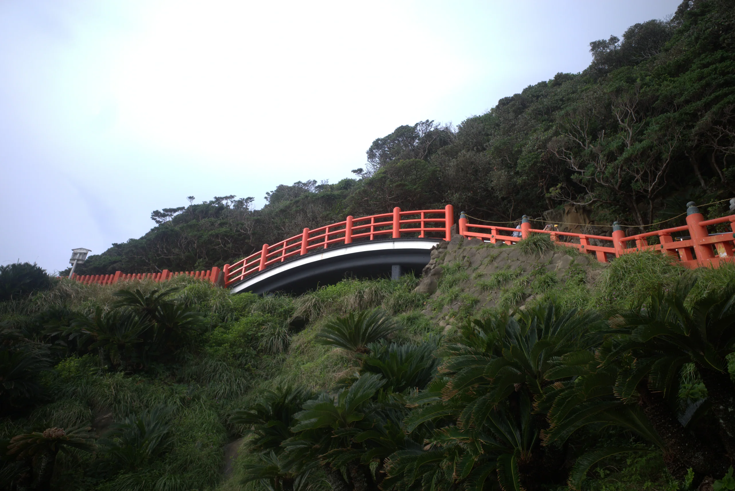 鵜戶神宮參道上跨過坡地的朱紅欄杆橋與南國樹林