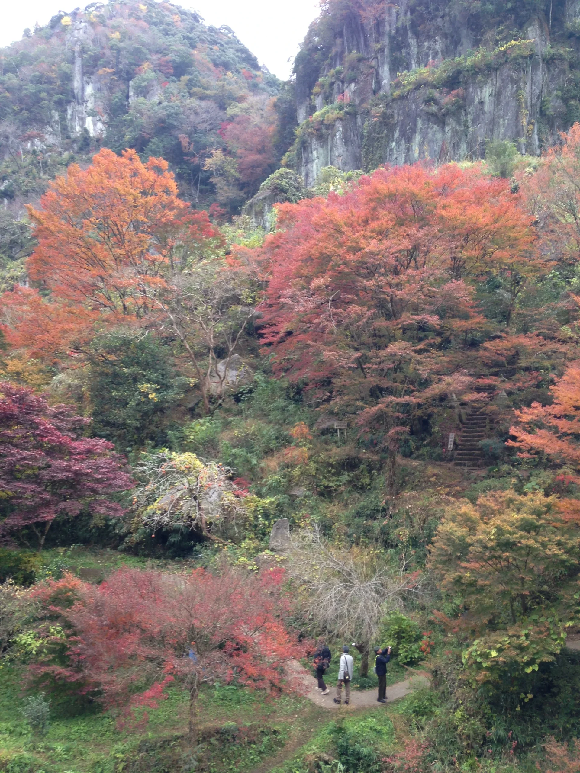 深耶馬溪一目八景展望台望向群猿山秋景
