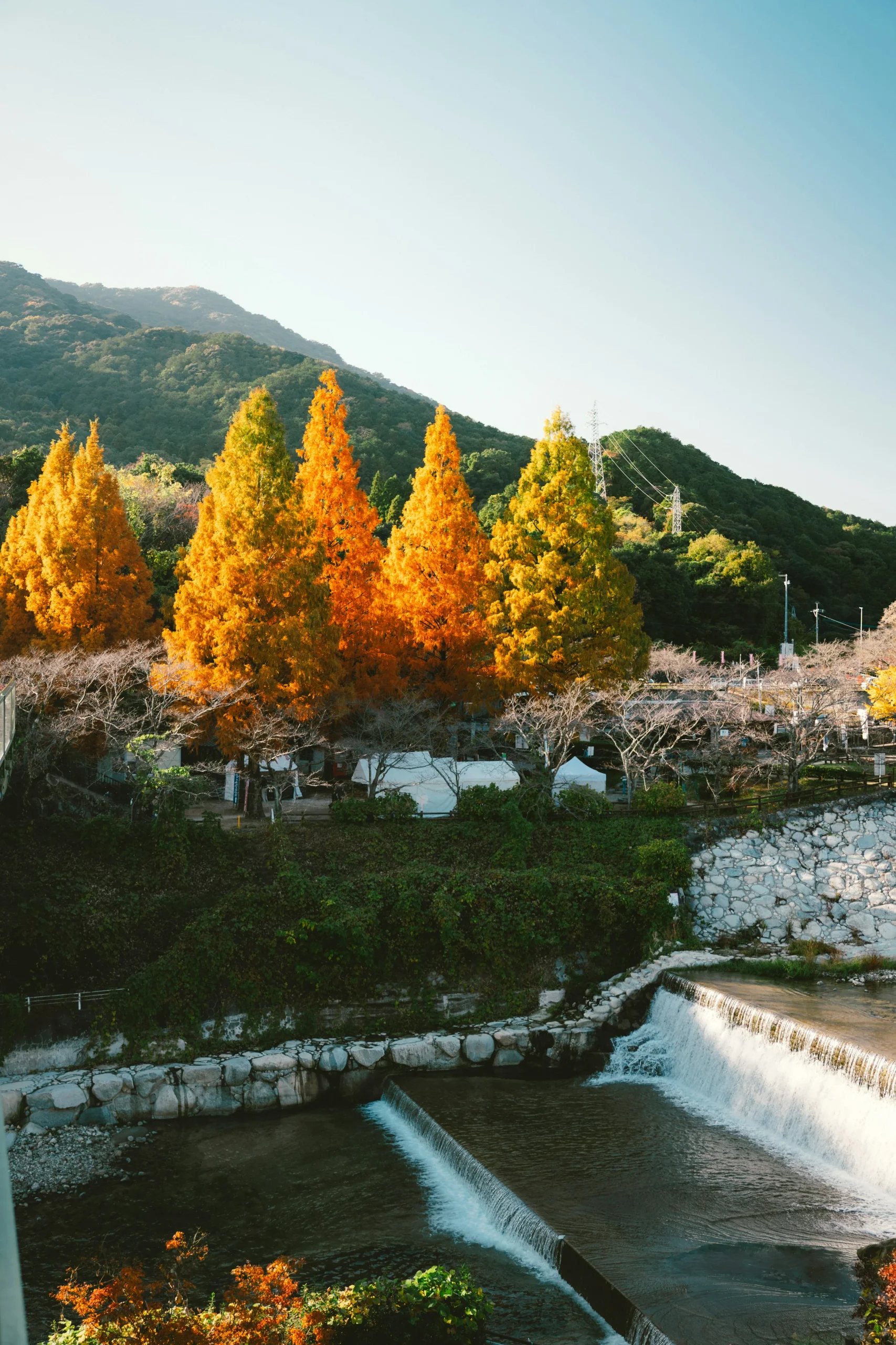 秋色樹林與石砌溪流瀑布，實景位於佐賀縣神埼市仁比山公園