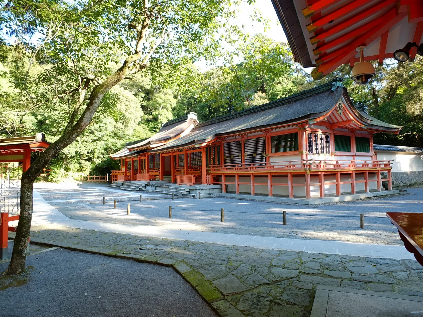 宇佐神宮下宮朱色社殿與樹林