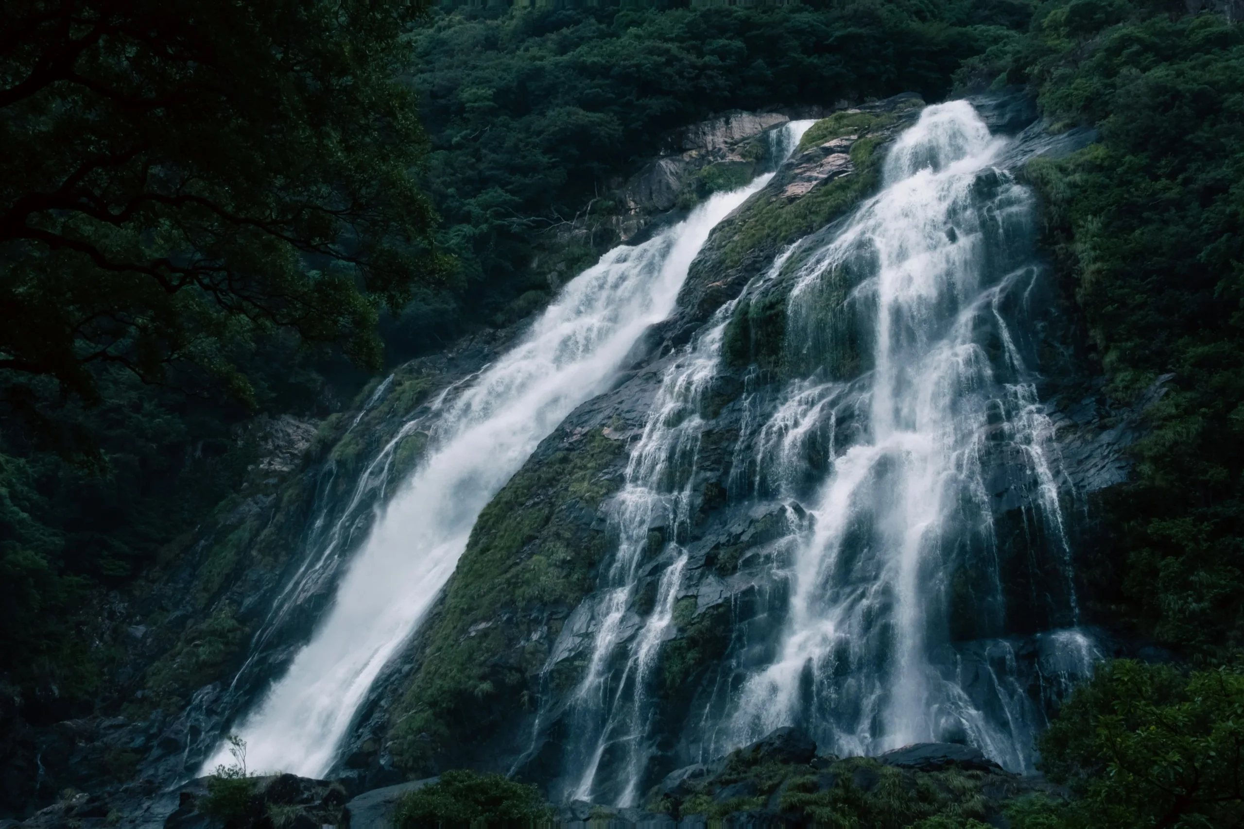屋久島苔蘚山壁上落下的瀑布水流