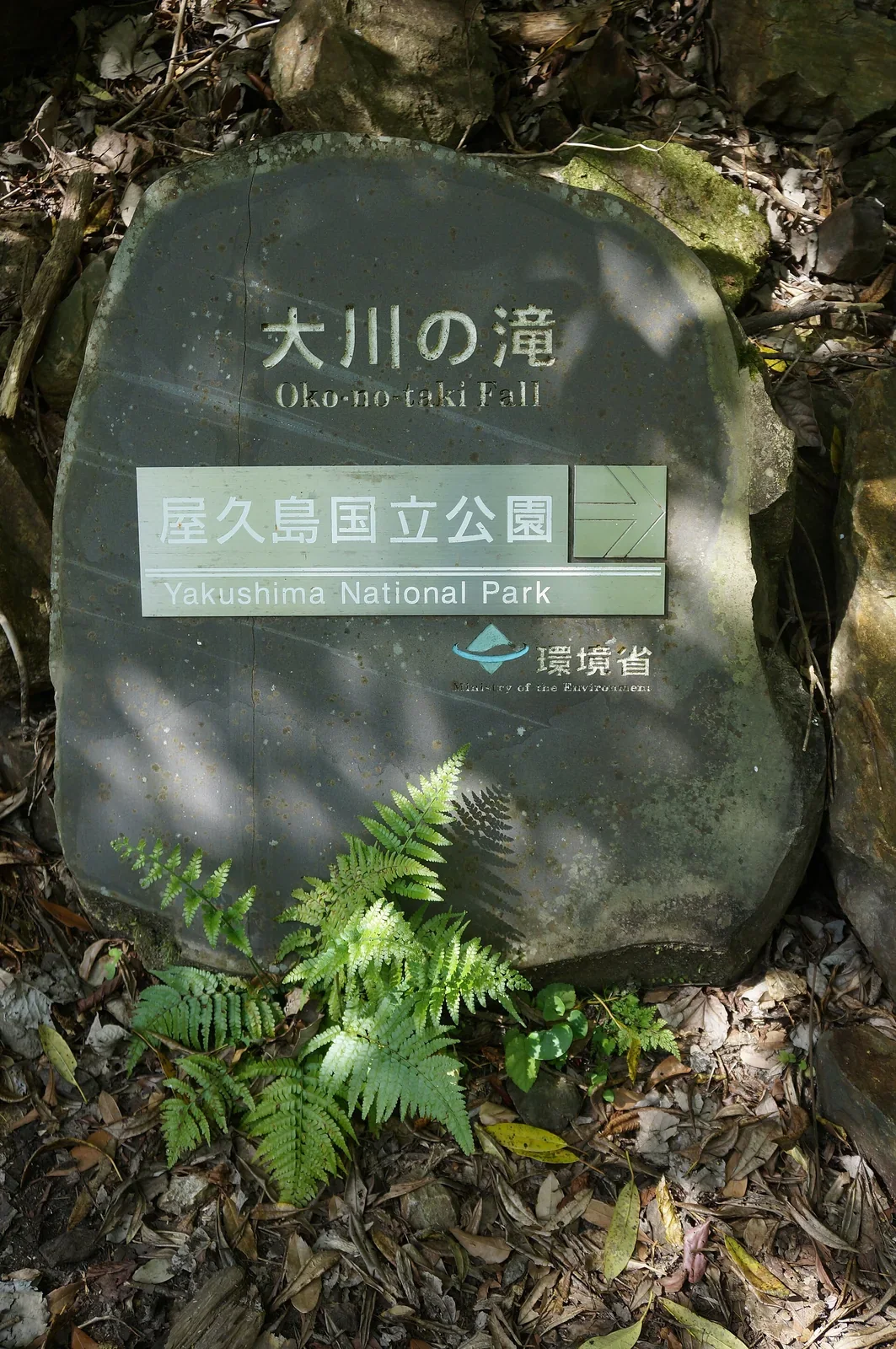 屋久島國立公園大川瀑布現場標示