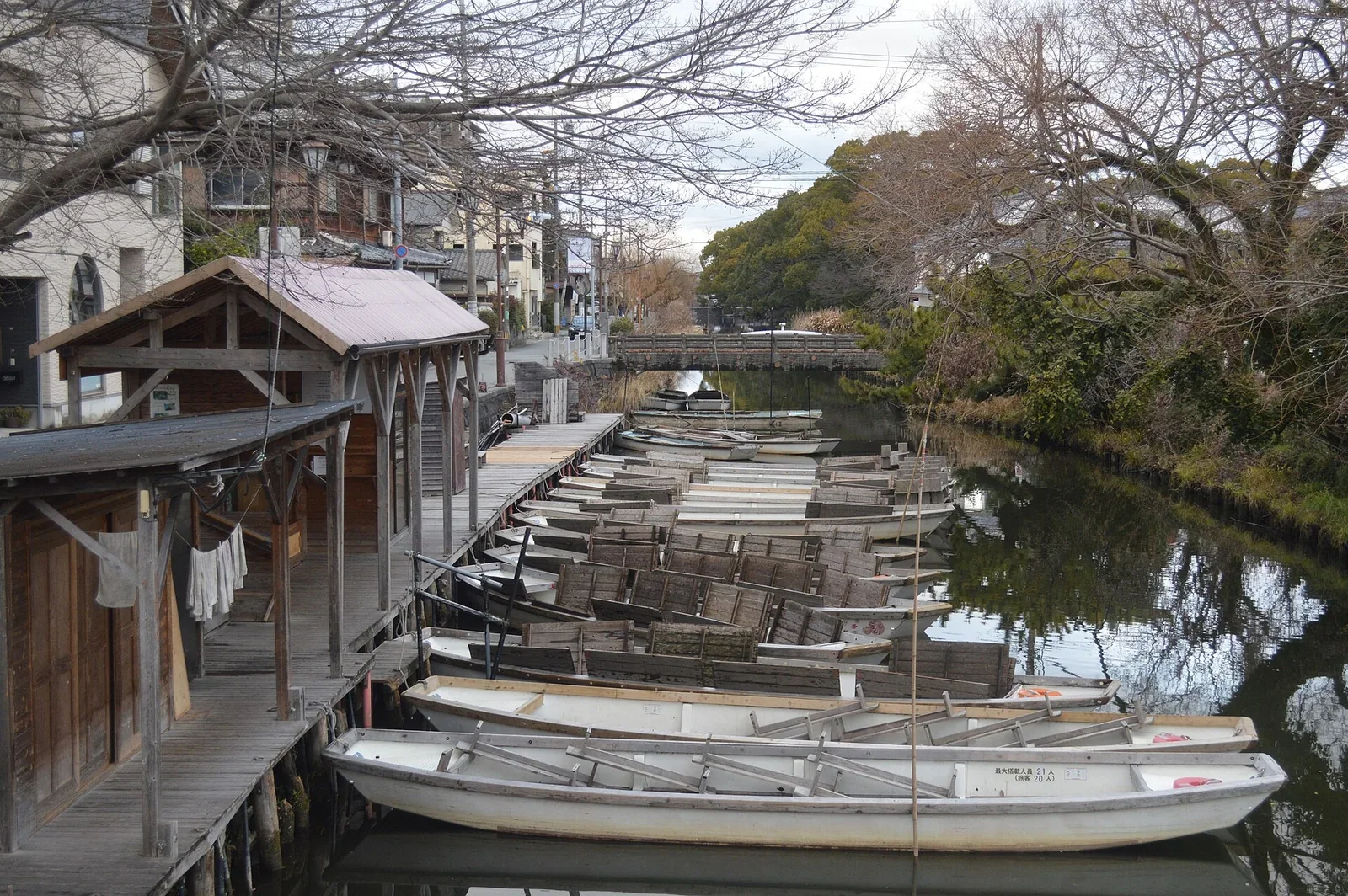 柳川水道上的遊船與沿岸綠意