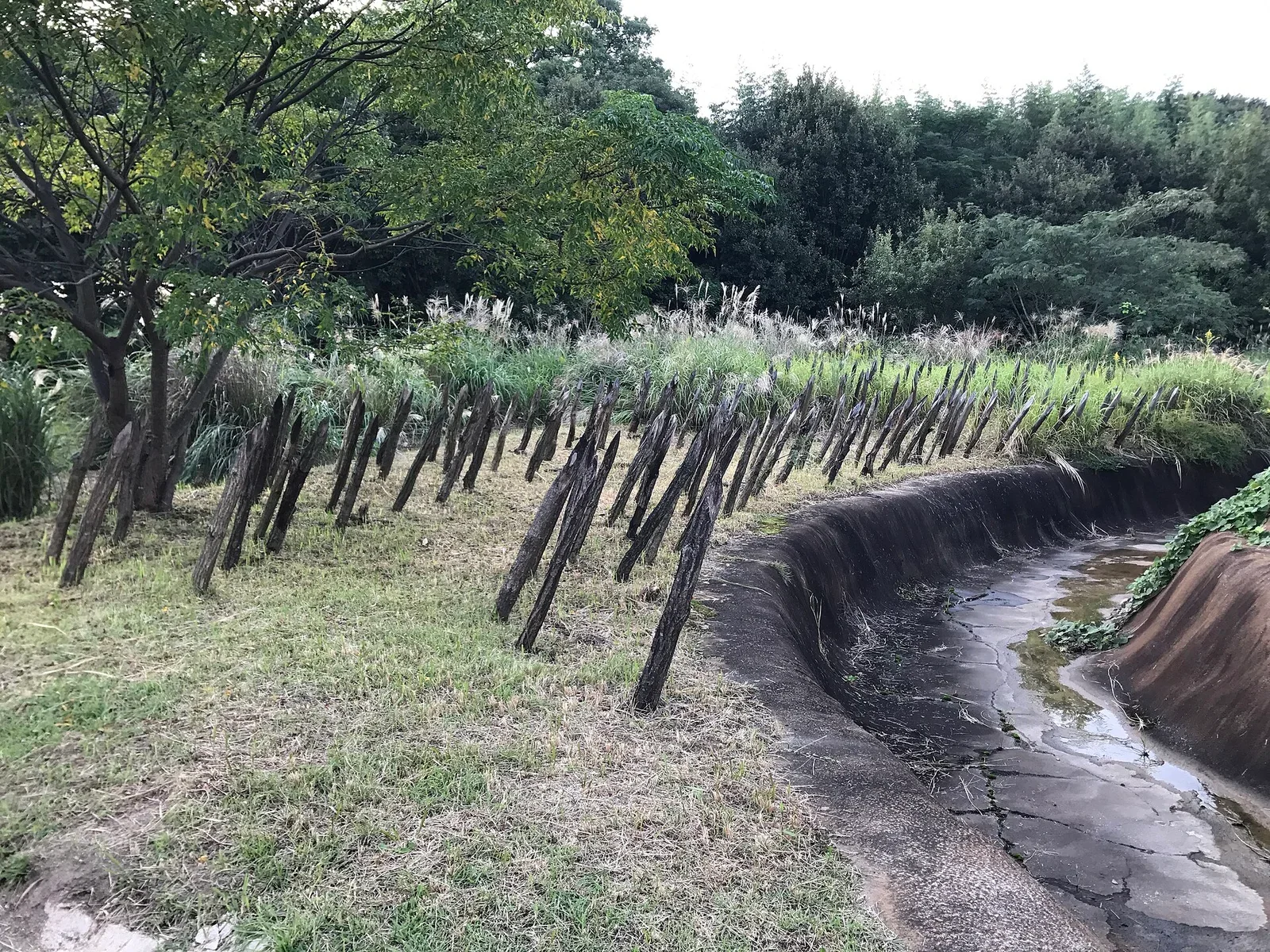 吉野ヶ里歷史公園環濠與木柵復原展示