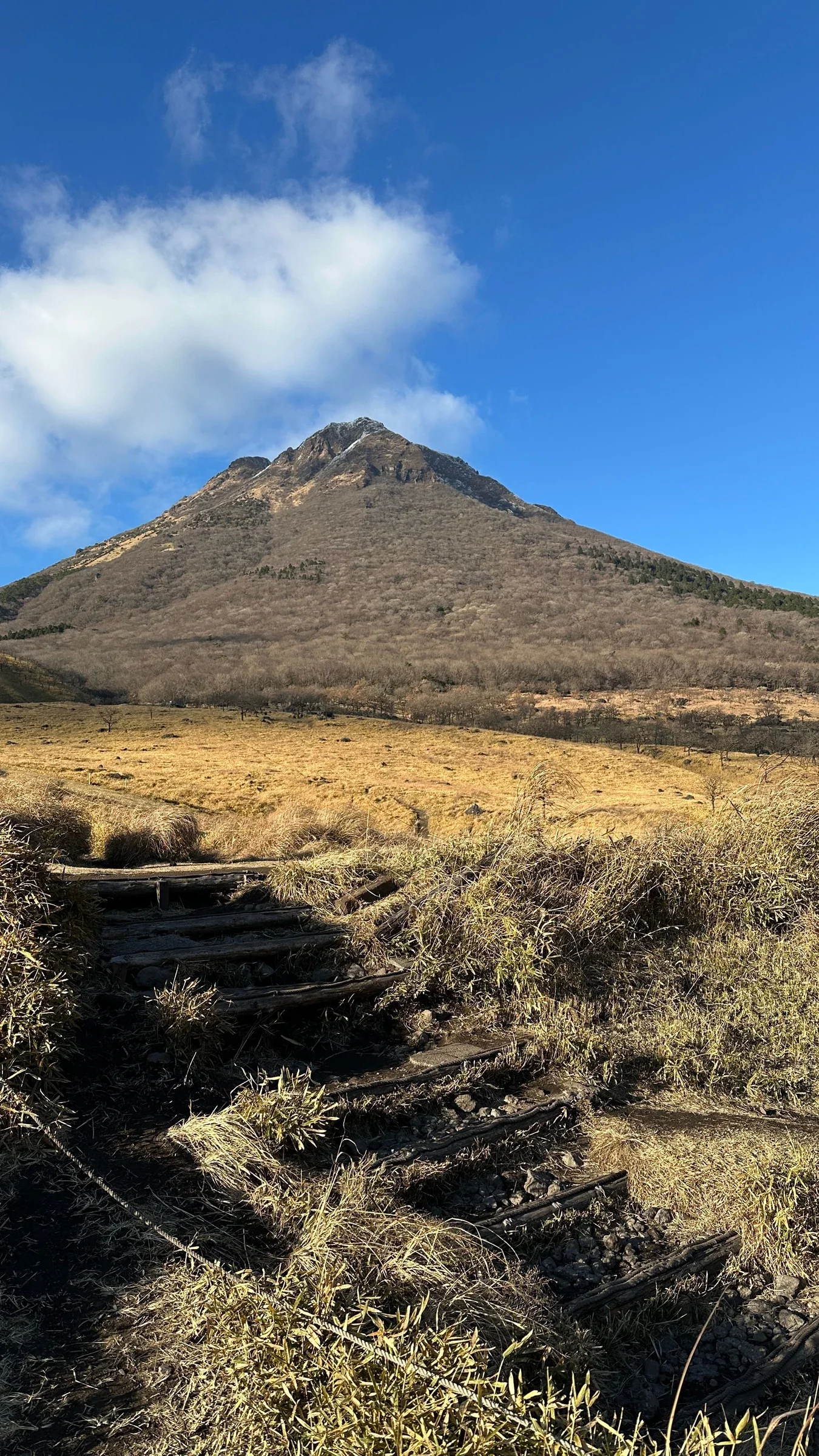 由布岳山景與山腳草地