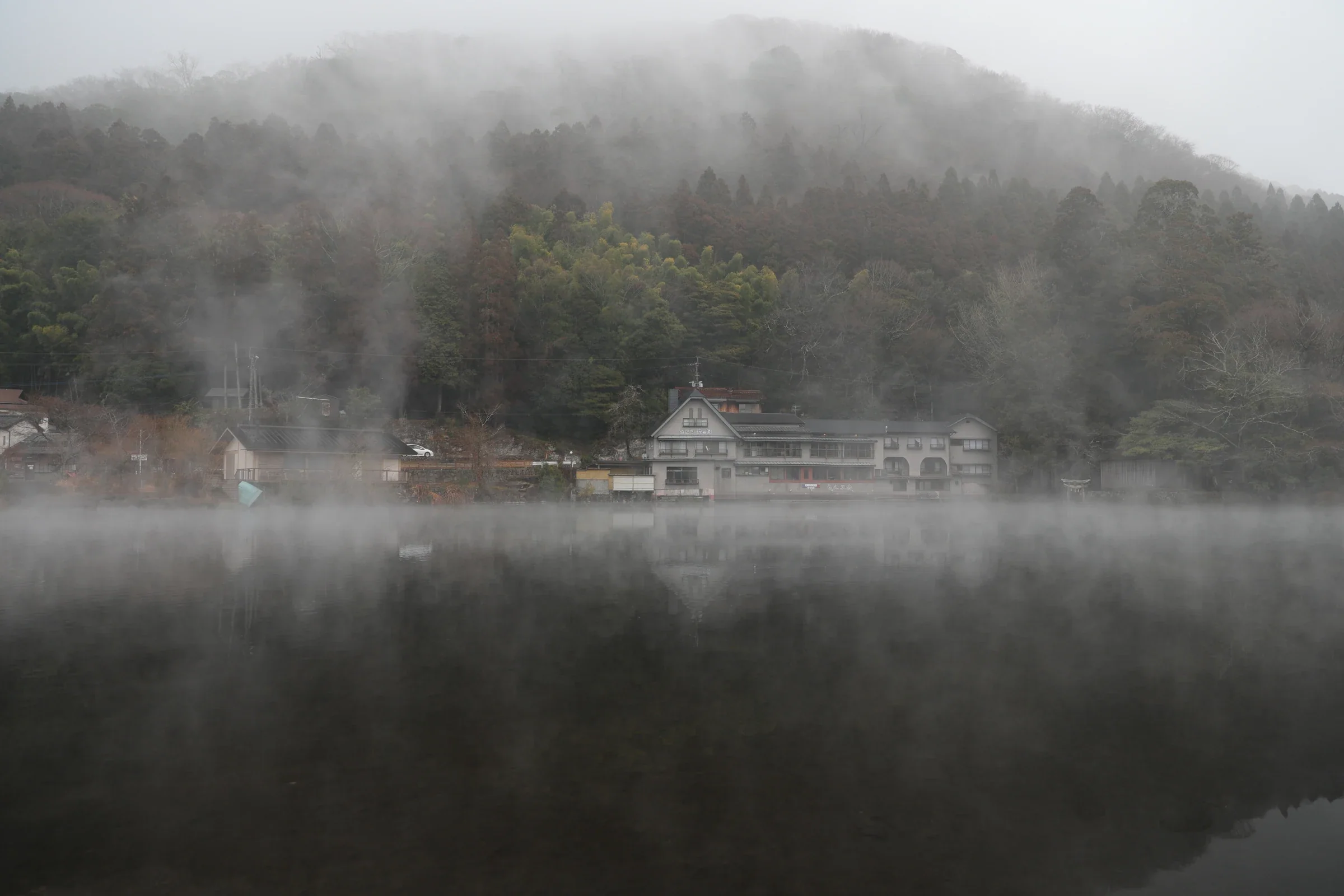 午後薄霧中的金鱗湖湖面與沿岸樹影