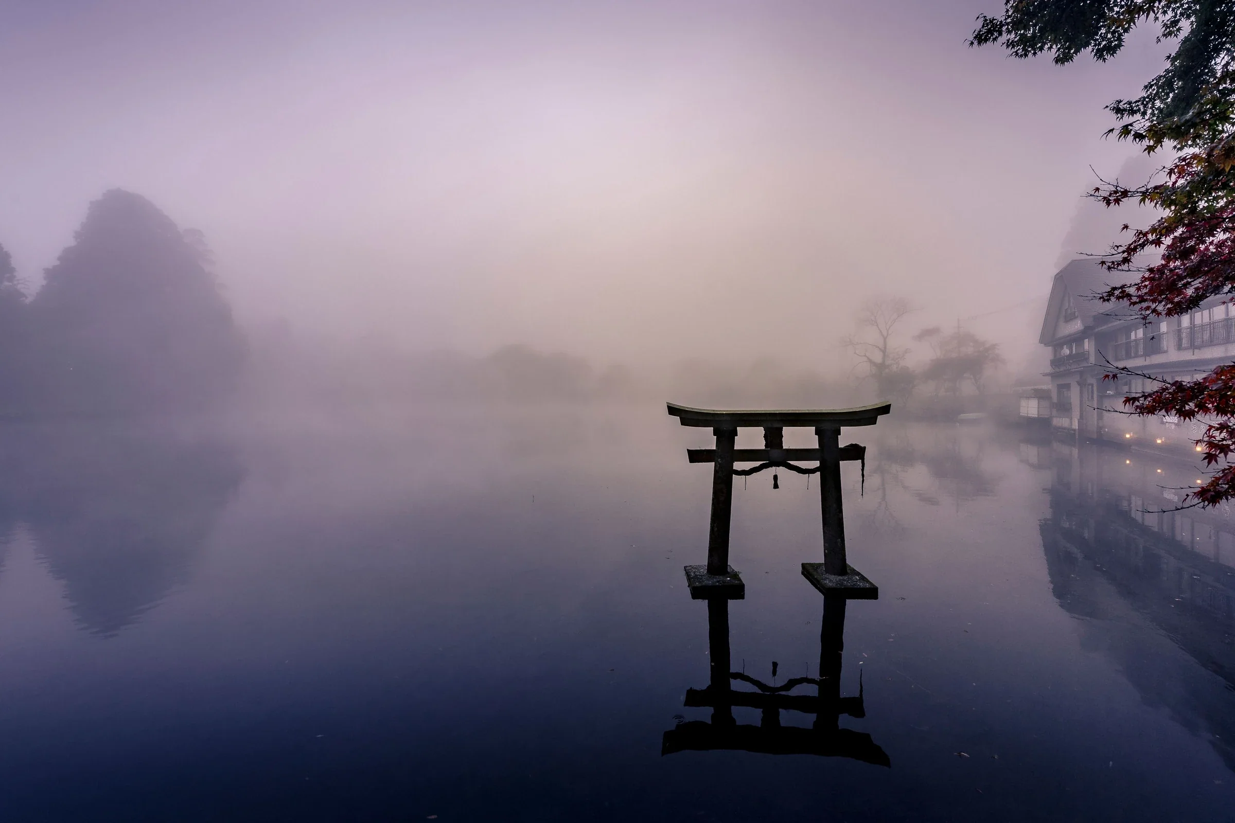 清晨薄霧中的金鱗湖與天祖神社鳥居倒影