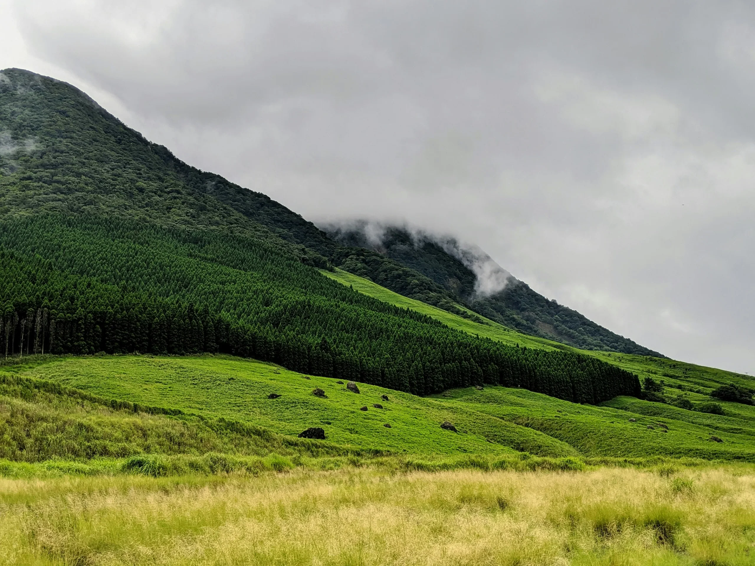 由布市草地與山景