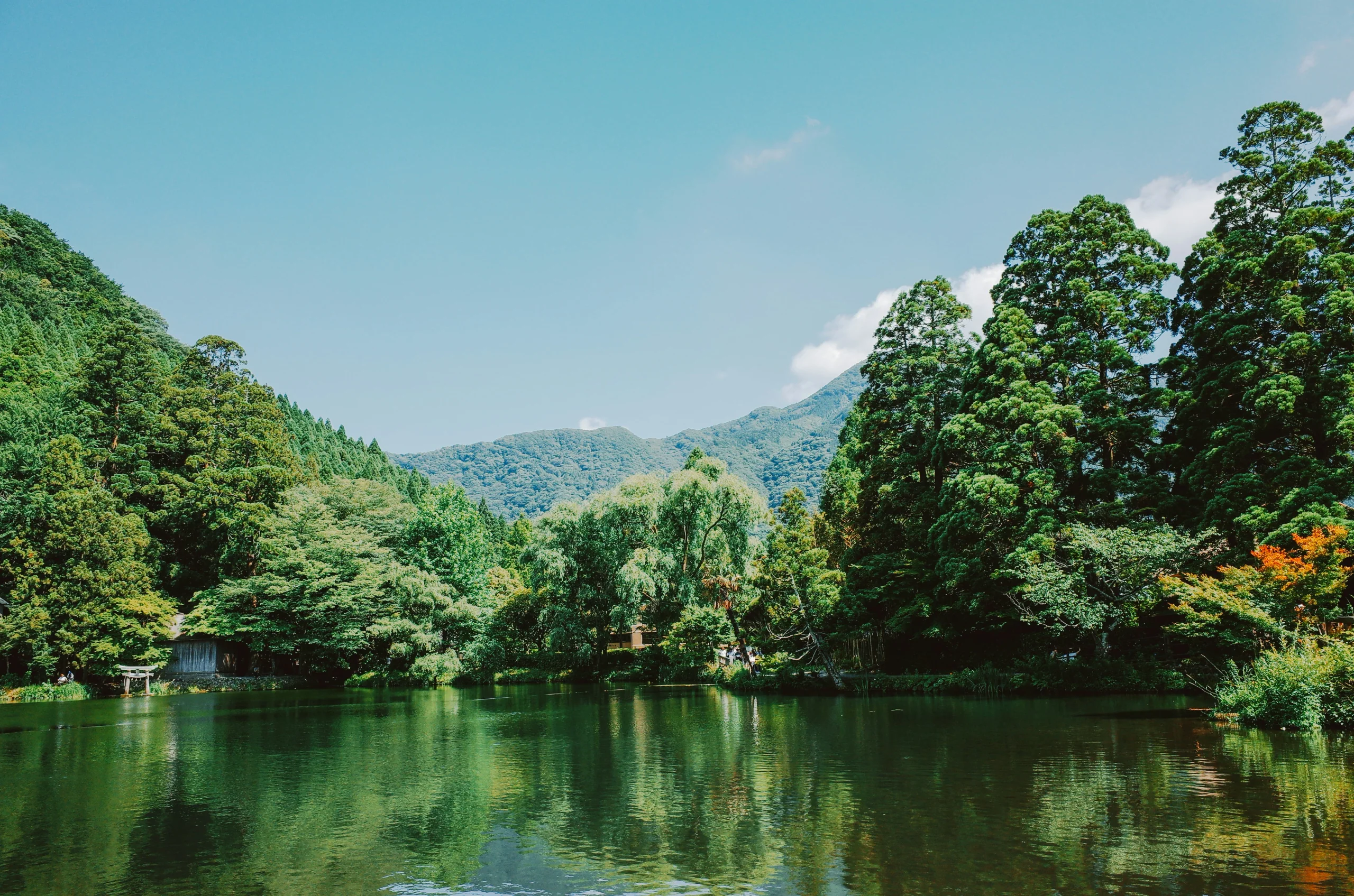 由布院湖畔、林木與遠處山景