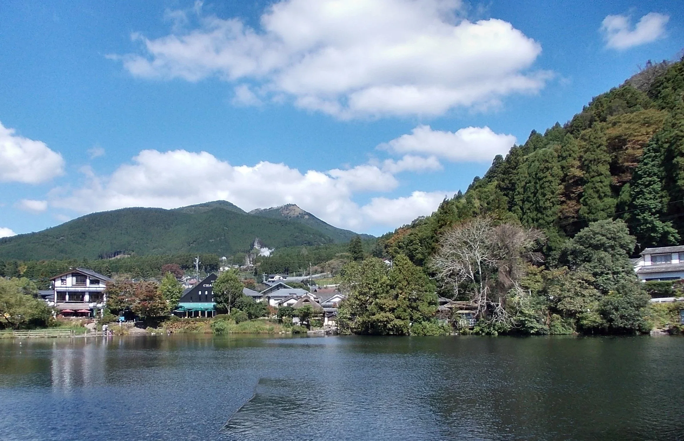 金鱗湖湖面與對岸街區、山景